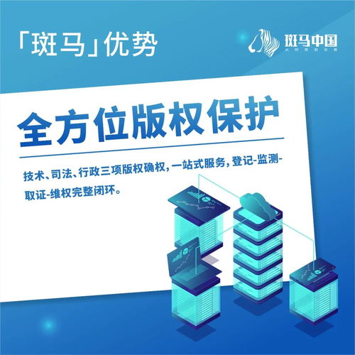 解讀斑馬 卓越的項(xiàng)目策劃與公關(guān)服務(wù)優(yōu)勢(shì)